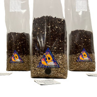 What Mushrooms can a Fat Fungi All In One Kit Grow?