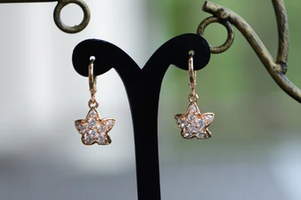 18K Gold Starfish Zircon AAA Designer Dangle Brass Earrings