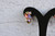 18K Gold Multicolor Zircon AAA Designer Brass Earrings