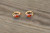 18K Gold Multi color Zircon AAA Designer Brass Earrings