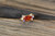 18K Gold Multi color Zircon AAA Designer Brass Earrings