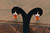 18K Gold Multi color Zircon AAA Designer Brass Earrings