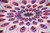 Hippie Red Purple Mandala Tapestry Bohemia Wall Hanging Throw Dorm Decor
