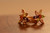 18K Gold Daisy Zircon AAA Designer Brass Earrings