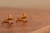 18K Gold Daisy Zircon AAA Designer Brass Earrings