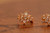 18K Gold Glazing Zircon AAA Designer Brass Earrings