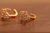 18K Gold Glazing Zircon AAA Designer Brass Earrings