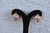 18K Gold Heart Zircon AAA Designer Brass Earrings