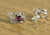 925 Sterling Silver Stunning Pink White Stud Earrings