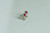 AamiraA 925 Sterling Silver Stunning Pink Bow Stud Earrings