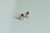AamiraA 925 Sterling Silver Stunning Pink Bow Stud Earrings