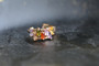 18K Gold Rainbow Zircon AAA Designer Brass Earrings
