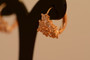 18K Gold Glazing Zircon AAA Designer Brass Earrings
