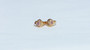18K Gold Spades Zircon AAA Designer Brass Earrings