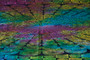 Multicolor Spiral Mandala Tapestry Bohemian Wall Hanging Throw Dorm Decor