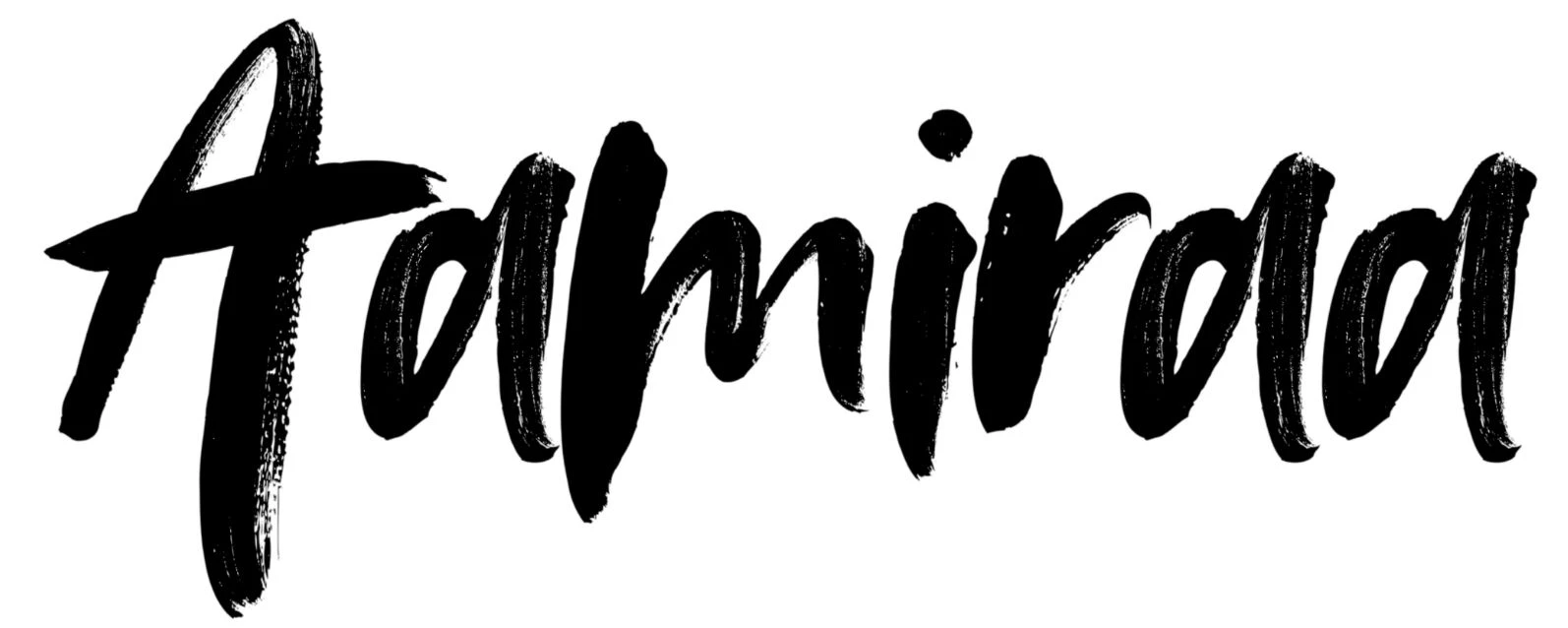 AamiraA LLC
