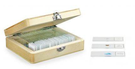 Prepared Micro Slides, Bacteria, Set/6