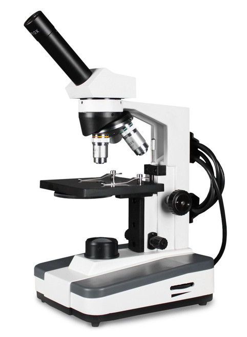 BMT Series High School Compound Microscopes