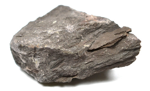 Eisco Hornfels Specimens (Metamorphic Rock), Approx. 1" (3cm) - Pack of 12