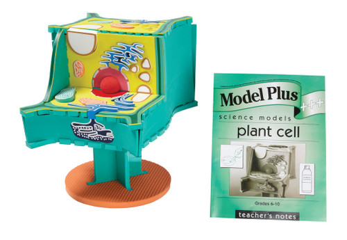 Model Plus: The Plant Cell - French