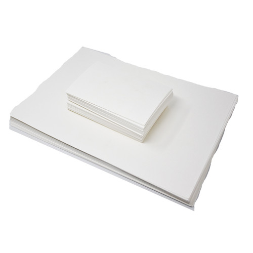 Herbarium Press Drier Sheets, Multiple Sizes, 100/Pack || 52- Herbarium Press Drier Sheets, Multiple Sizes, 100/Pack || 52-