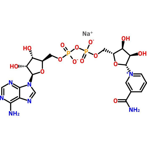 beta-Nicotinamide Adenine Dinucleotide Sodium Salt, 1 kg || 65-