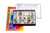 Types of Fossilization Collection - 15 Spec. || 42-