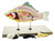 Eisco Fish (Carp) Model, 18 Inch - 4 Parts - Mounted