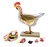 Eisco Chicken Anatomy Model, 6 Parts - Life Size