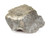 Eisco Gray Limestone Specimens (Sedimentary Rock), Approx. 1" (3cm) - Pack of 12