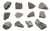 Eisco Dolostone Specimens (Sedimentary Rock), Approx. 1" (3cm) - Pack of 12