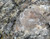 Augen Gneiss, Hand Sample, Approx. 3" (7.5cm) || 45-