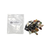Washington School Collection of Rocks & Minerals - 40 Spec. 2" x 1-1/2" || 42-