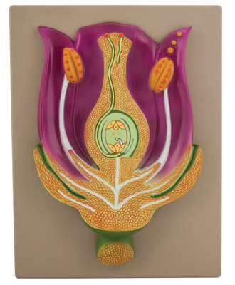 Eisco Typical Flower Model, V.S. View - Mounted on Base, 16" x 12"