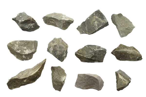 Eisco Argillaceous Shale Specimens (Sedimentary Rock), Approx. 1" (3cm) - Pack of 12