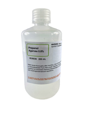 Prepared Agarose, 0.8%, 200 ml - Resolves DNA Fragments 0.6-35kb Long || 50-