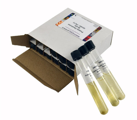 Potato Dextrose Broth Tubes, 9 ml, Pack of 12 - Sterile || 50-