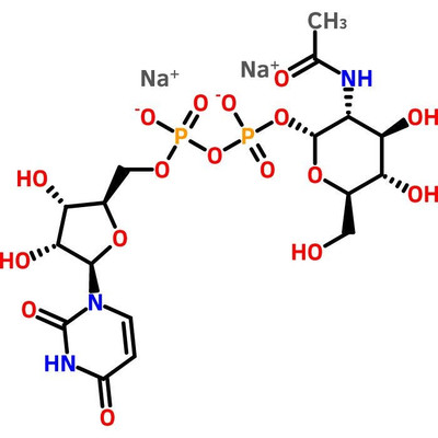 Uridine 5'-Diphospho-N-acetylglucosamine Sodium Salt, 1 g || 65-