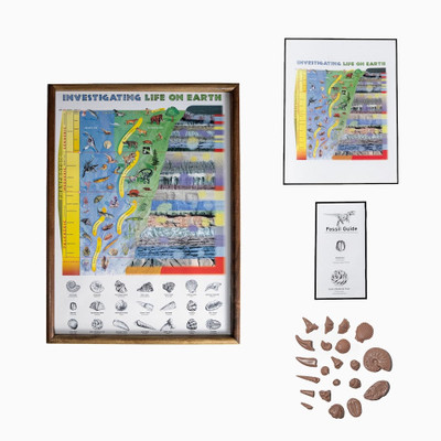 Life On Earth - A Fossil History Model || 42- Life On Earth - A Fossil History Model || 42-