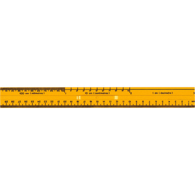Intermediate Ruler | SCIEDCO Canada