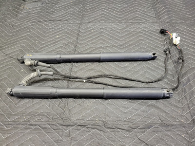 BMW E70 X5 Power Rear Hatch Spindle Drive Struts 51247294588 51247294587