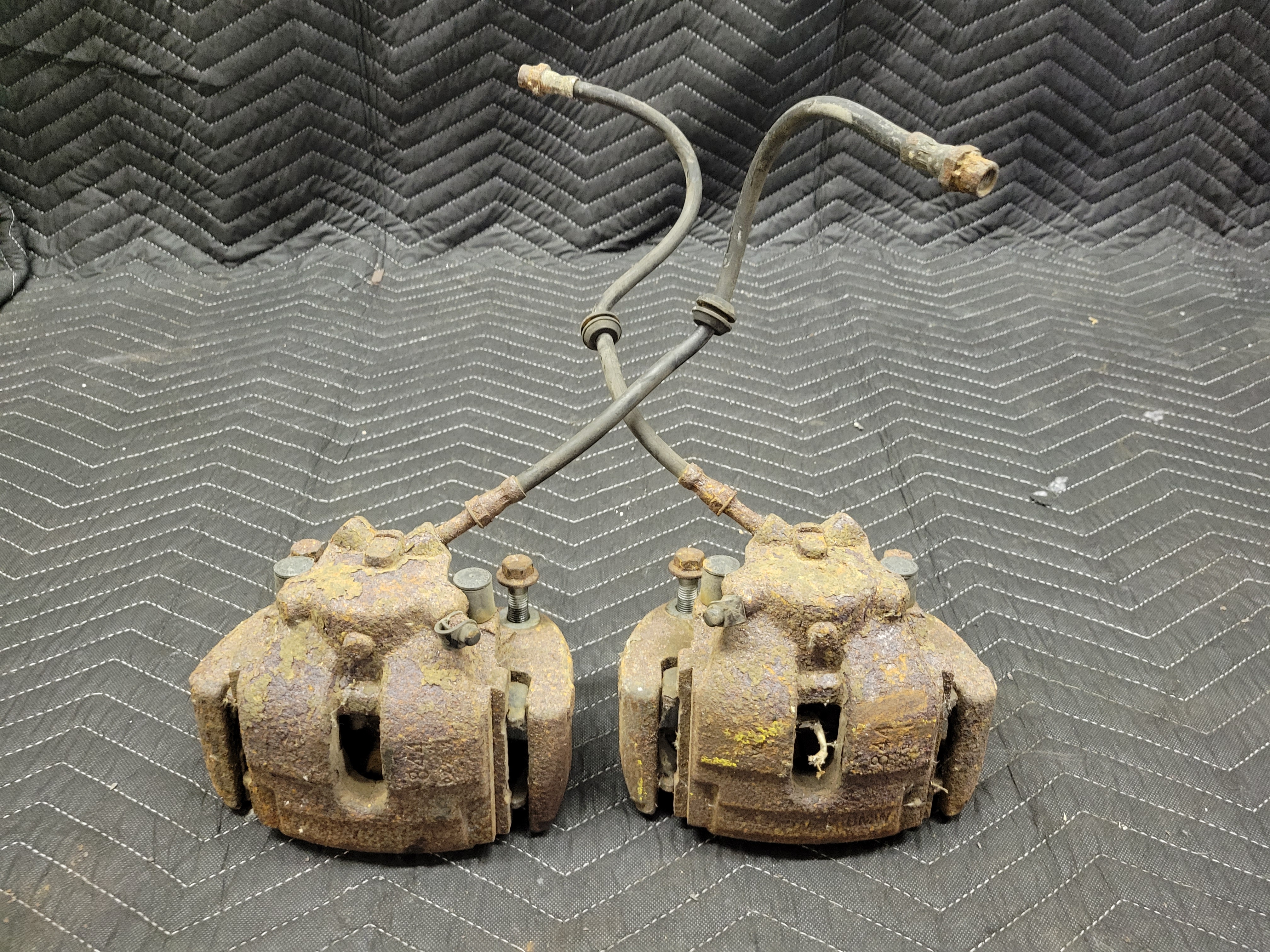 ブーゲンビリア 20240419_104321__68355.