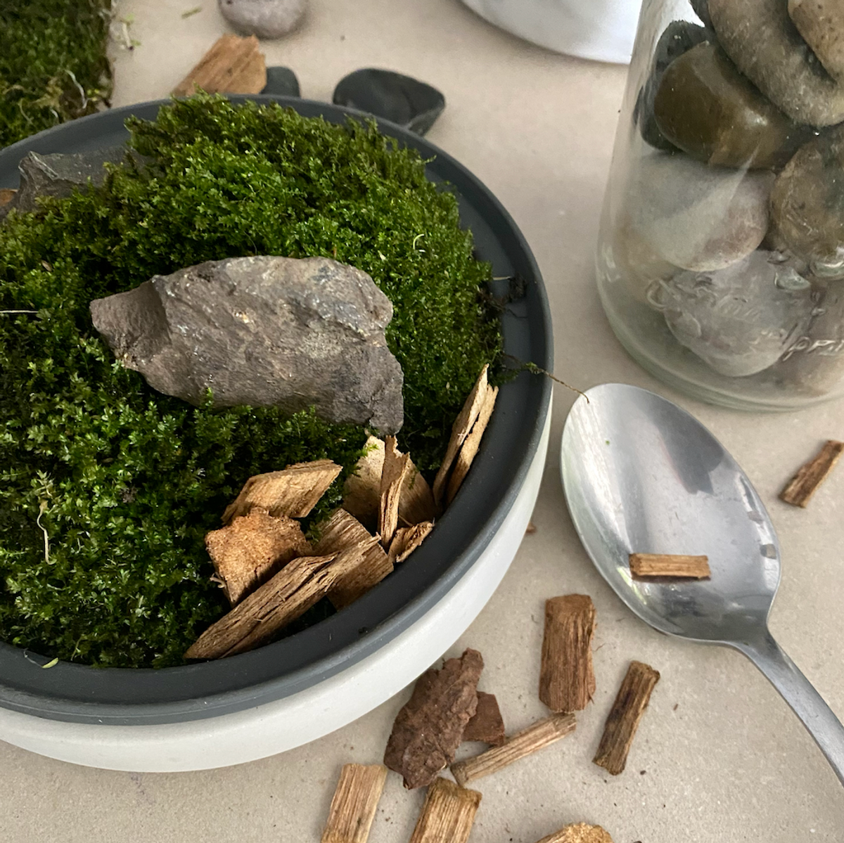 How To Make A Moss Terrarium (Mossarium) 