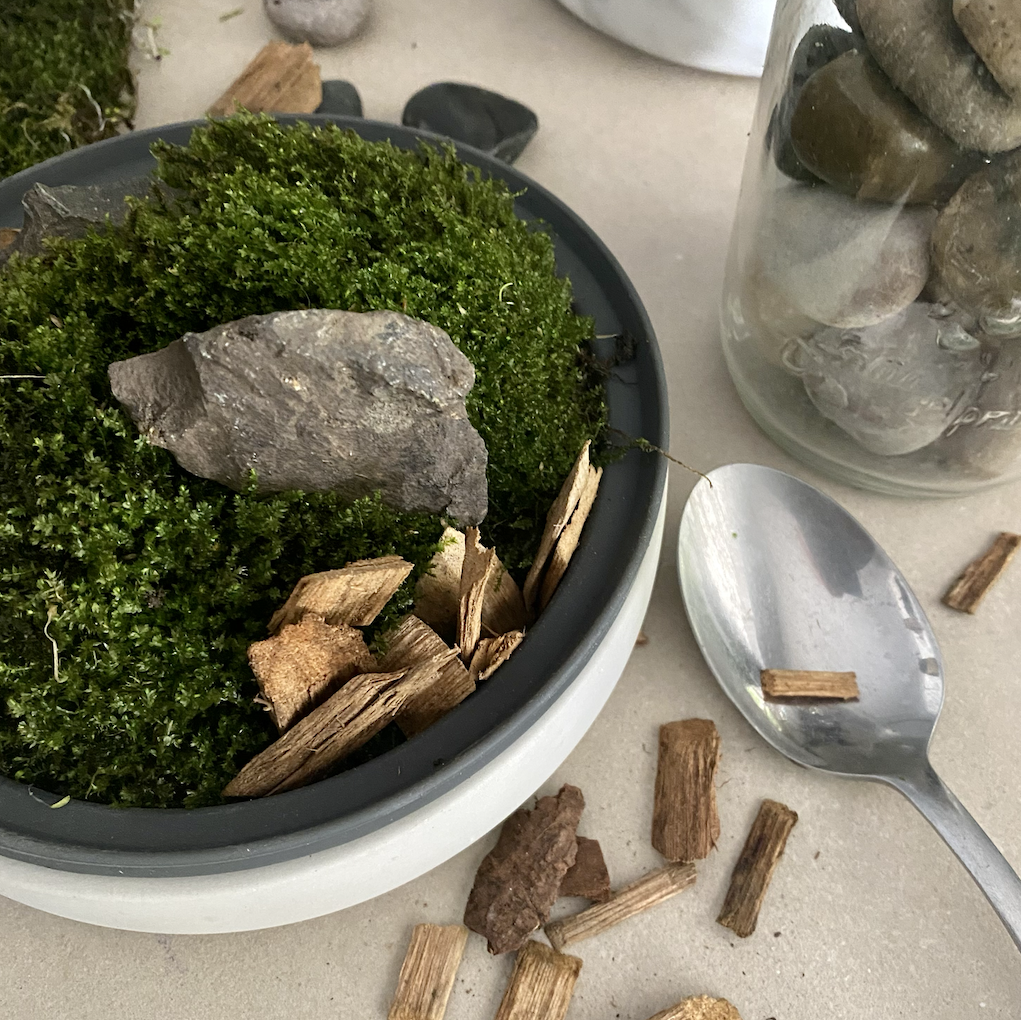 How to Make a Moss Terrarium (DIY Mossarium): Step-by-Step