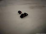VI Glock 17 19 Red Night Sight Glock 19 Sight 17 Sights Night Sights