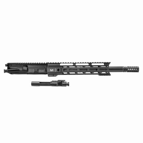 AR15 10" 300 BLK Upper Receiver Blackout