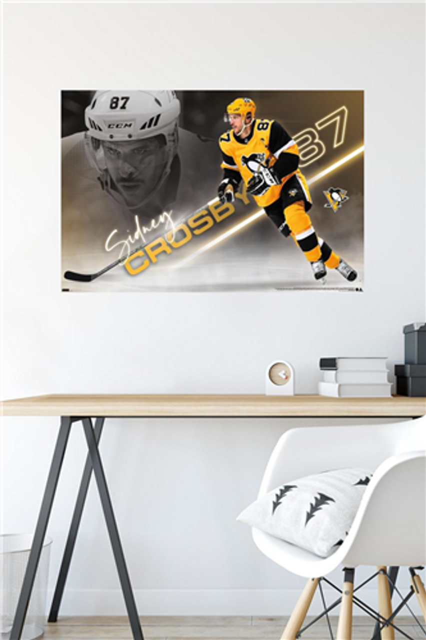 Highland Mint NHL Pittsburgh Penguins Sidney Crosby Framed Pro Dynamo