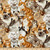 Petpourri~Cats Cotton Fabric by Elizabeth's Studio