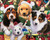 Puppy Surprise 36 Panel Cotton Fabric By Four Seasons for David Textile's