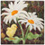 Truly McKenna  All Cooped Up ACU05 Dawn Patrol 8x8 Fabric Art Print Panel
